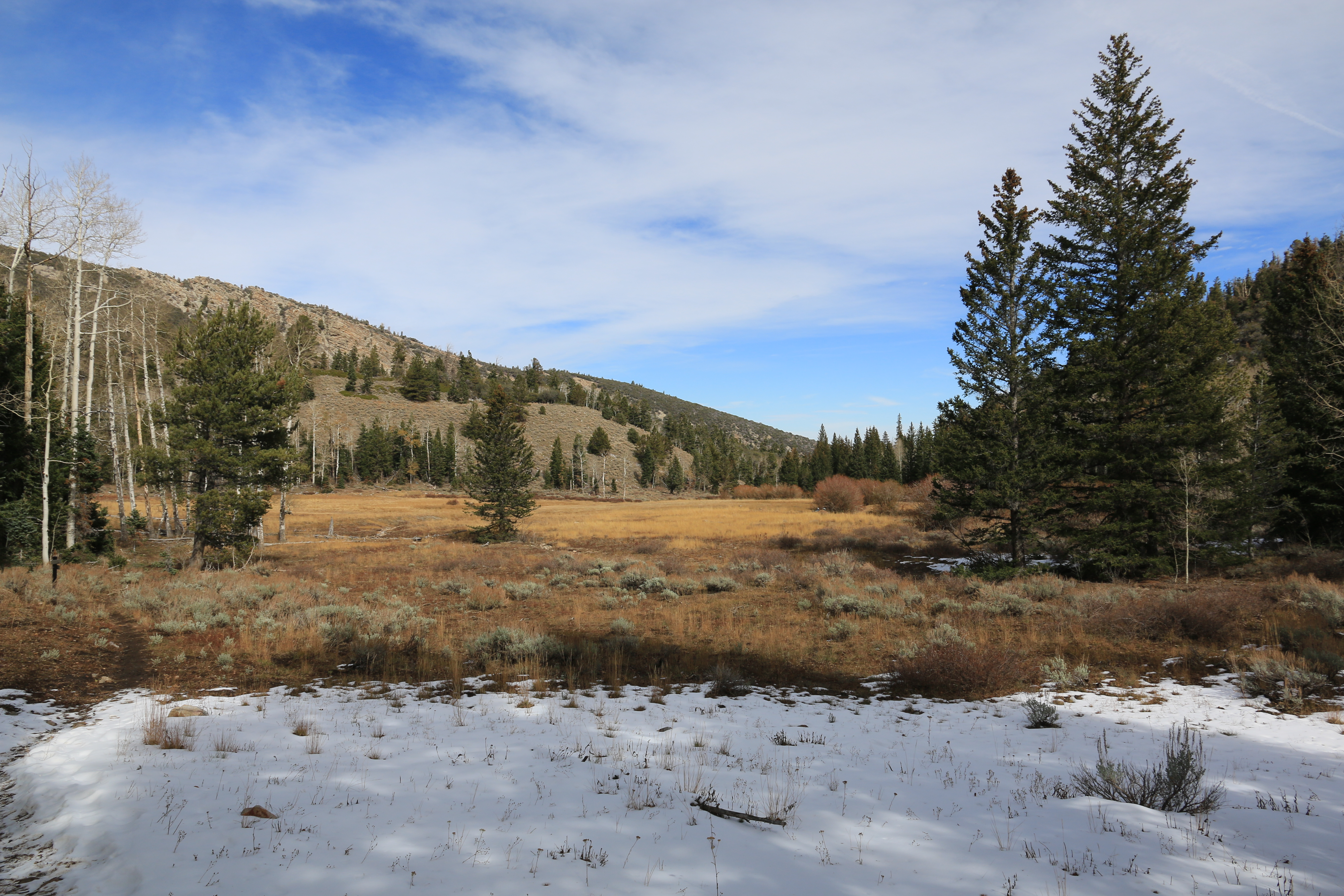 Great Basin NP